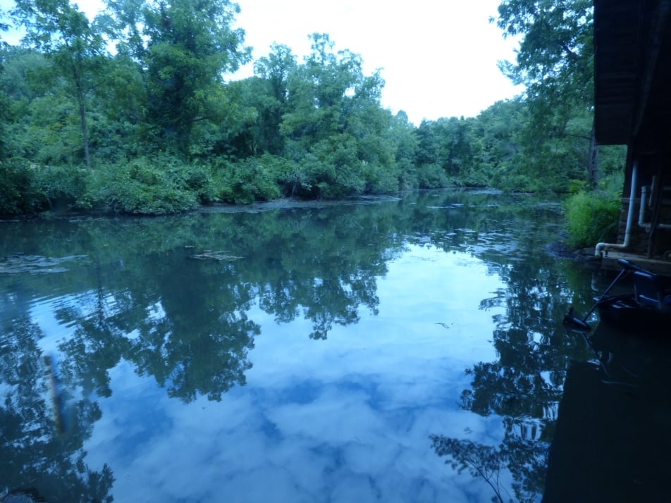 Lake Airlie After Herbicide and Diatom Promoter