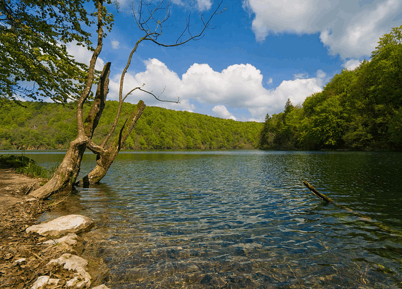 We aim to provide the cleanest clearest water quality without using chemicals